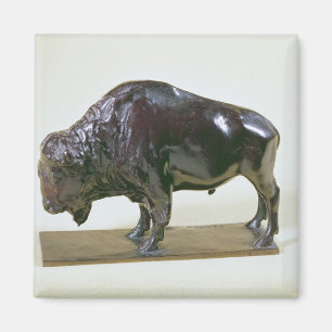 Imã Bisonte, 1907