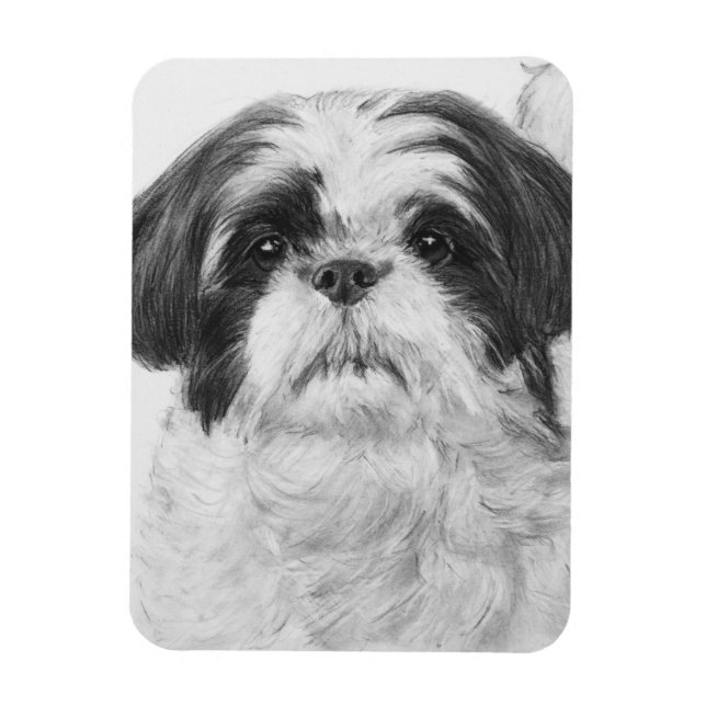 Ímã Black and White Shih Tzu Art (Vertical)