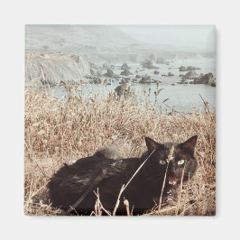 Imã Black Beach Cat