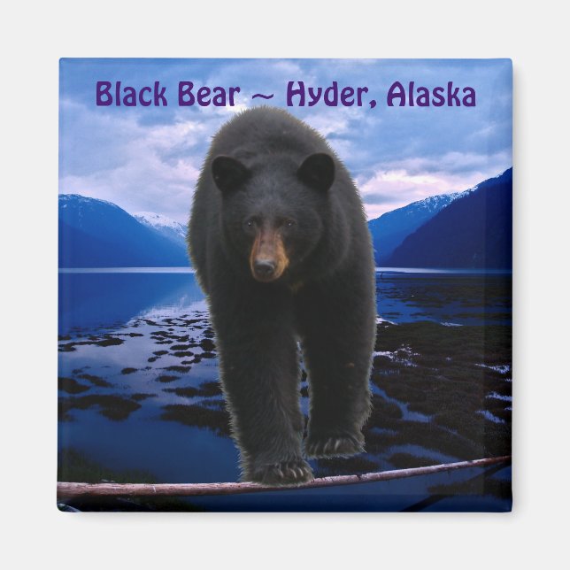 Imã BLACK BEAR Hyder, Alaska Wildlife Magnet (Frente)