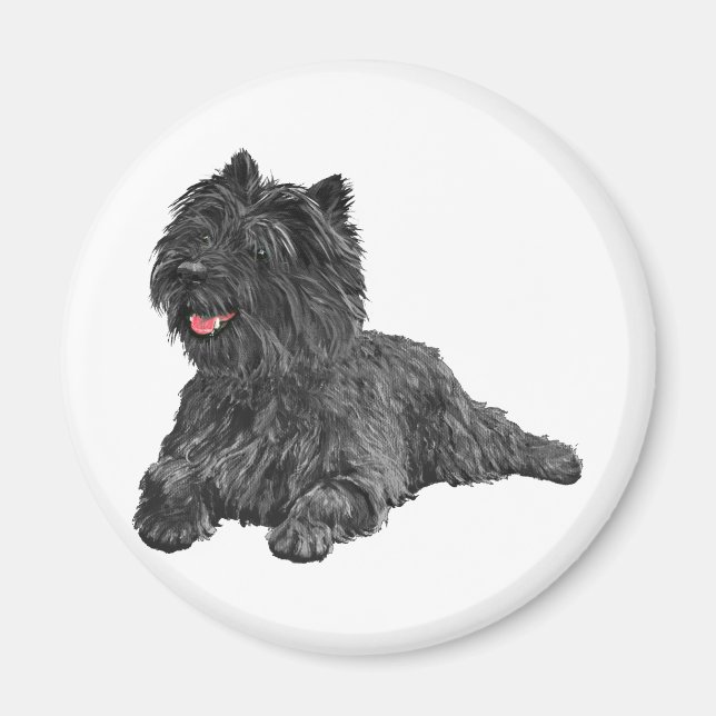 Imã Black Cairn Terrier (Frente)