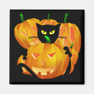 Imã Black Cat e Pumpkins blackbg