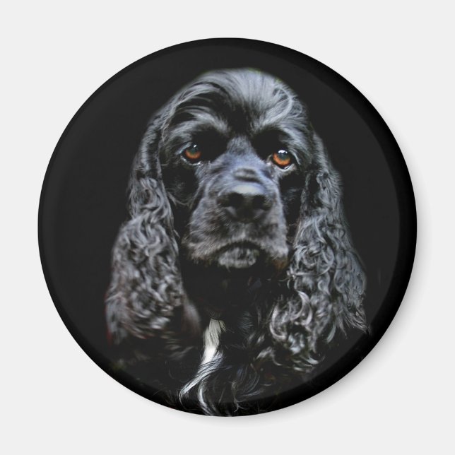Imã Black Cocker Spaniel (Frente)