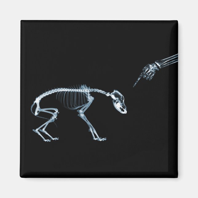 Imã Black Dog Xray Skeleton (Frente)