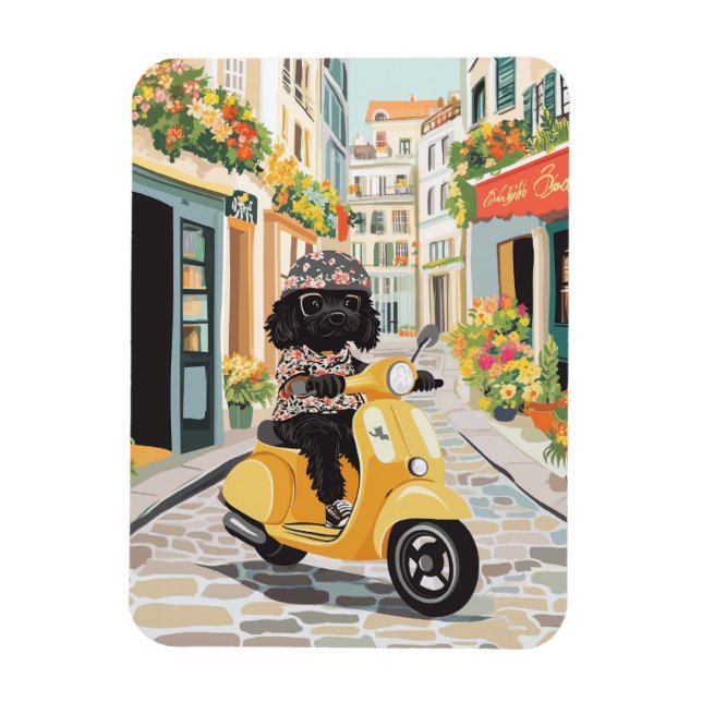 Ímã Black Doodle Riding Scooter European City Streets (Vertical)