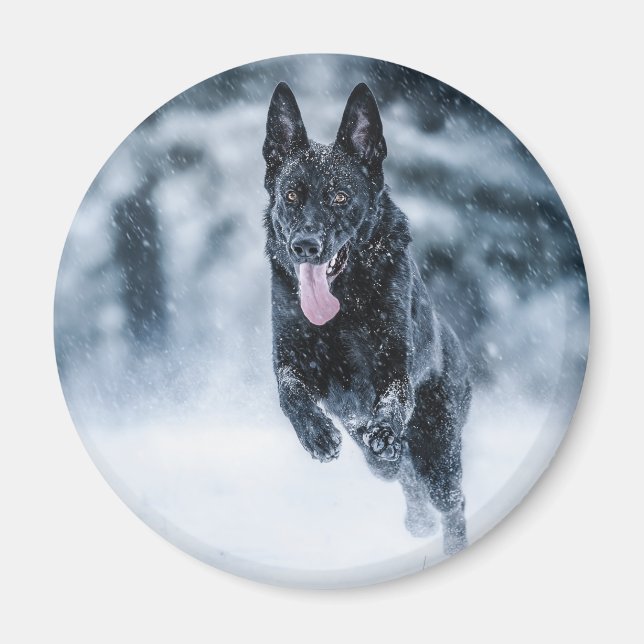 Imã Black German Shepherd in snow Duvet Cover (Frente)