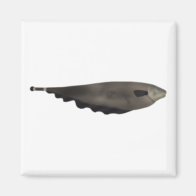 Imã Black Ghost (Frente)