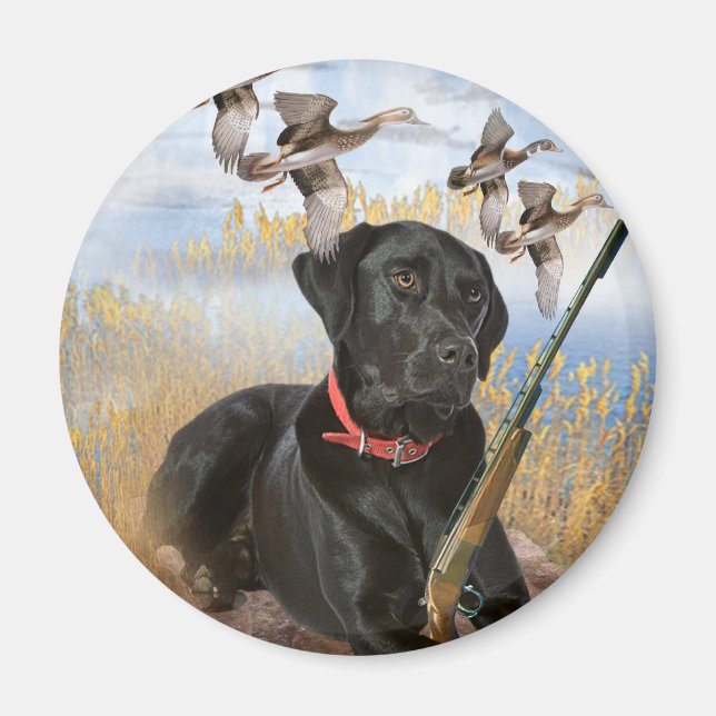 Imã Black Lab caça ímã (Frente)