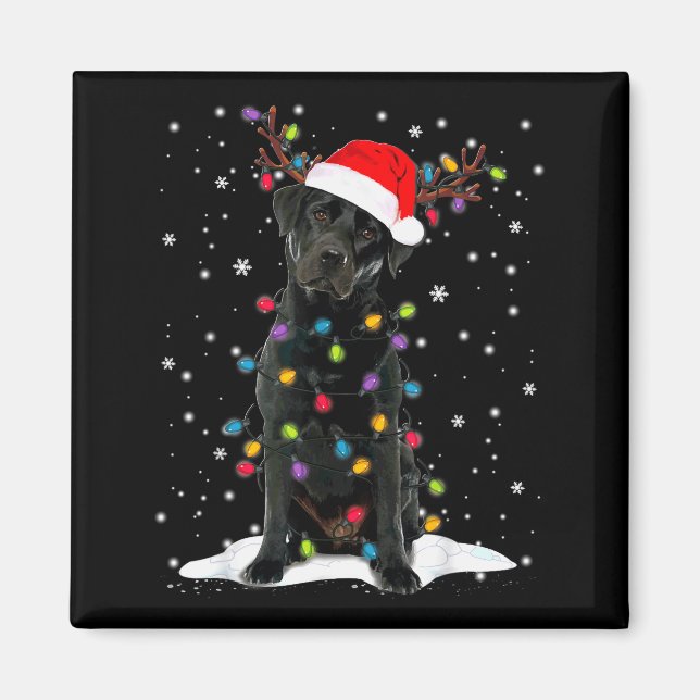 Imã Black Lab Labrador Christmas Tree Light Pajama Dog (Frente)