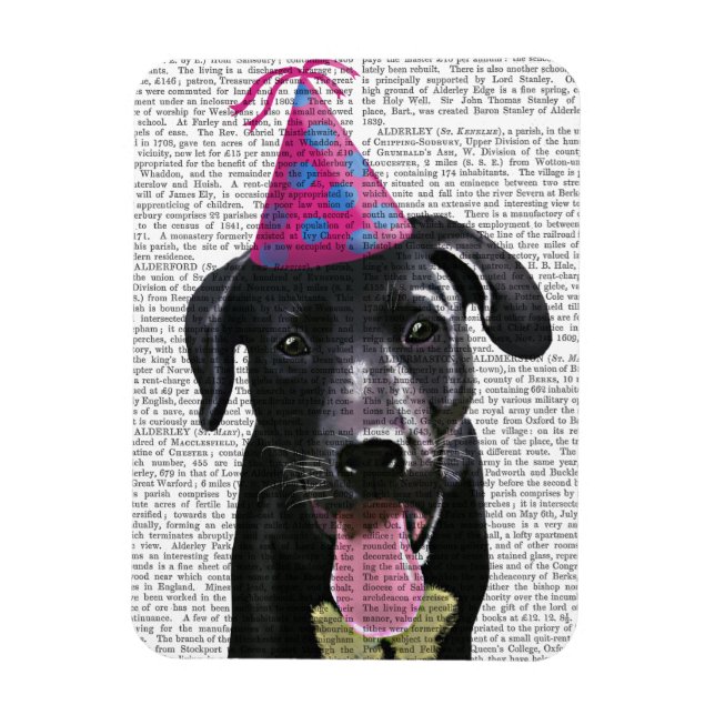 Ímã Black Labrador com chapéu de festa (Vertical)