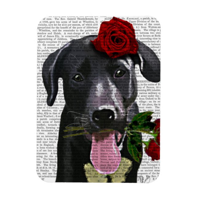 Ímã Black Labrador com Rosas (Vertical)