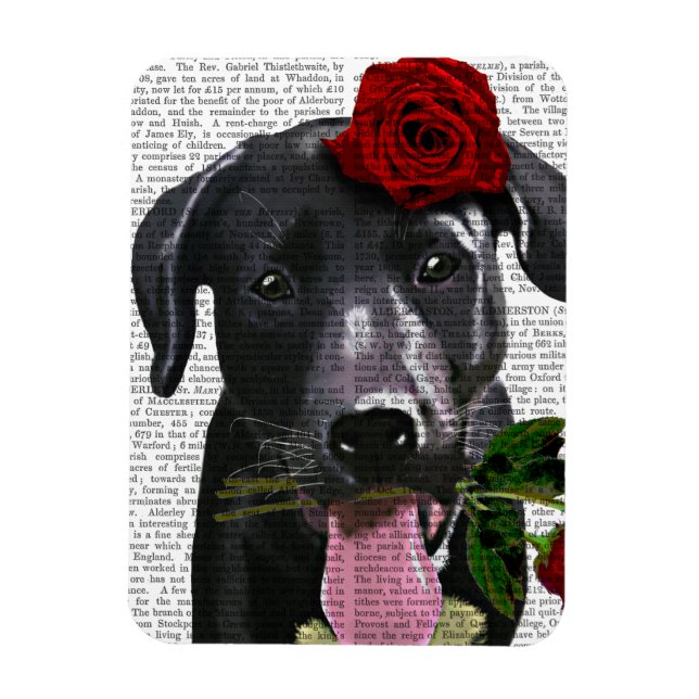 Ímã Black Labrador com Rosas 2 (Vertical)