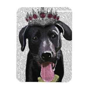 Ímã Black Labrador com Tiara