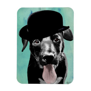 Ímã Black Labrador in Bowler Hat