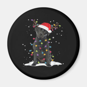 Imã Black Labrador Xmas Dog Árvore de Natal Classe Lev