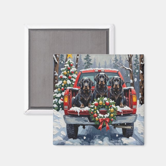 Imã Black Newfoundland Christmas Red Truck Holiday (Front/Back)