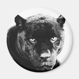 Imã Black Panther Jaguar