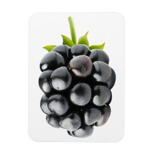 Ímã Blackberry