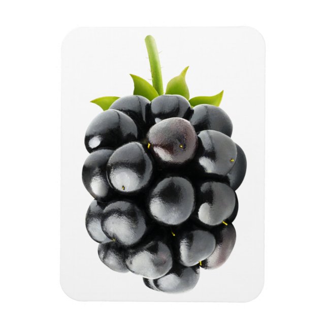 Ímã Blackberry (Vertical)