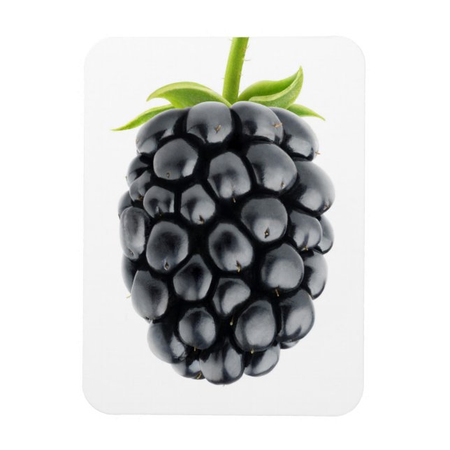 Ímã Blackberry (Vertical)
