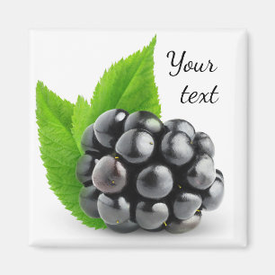 Imã Blackberry