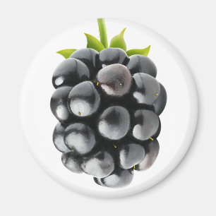 Imã Blackberry