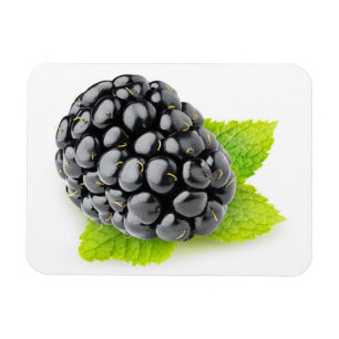 Ímã Blackberry e hortelã