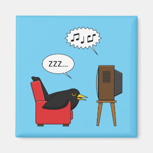 Imã Blackbird dormindo em frente à banda desenhada da