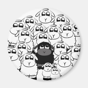 Imã blacksheep