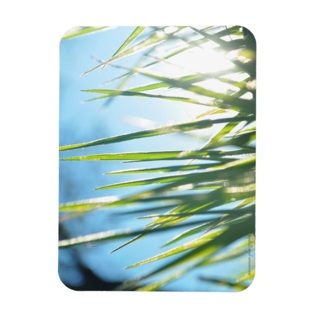 Ímã Blades Sunlit (Vertical)