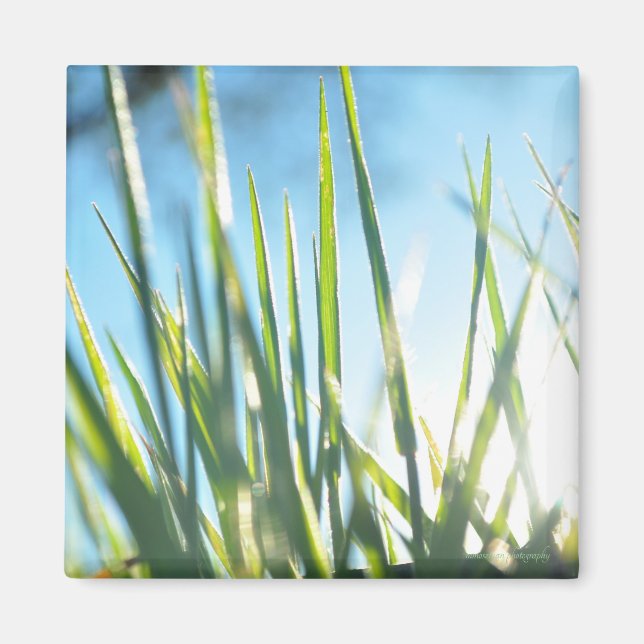 Imã Blades Sunlit (Frente)