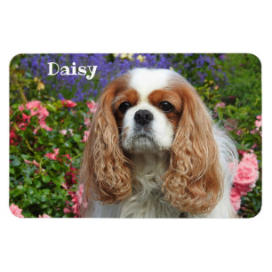 Ímã Blenheim Cavalier King Charles Spaniel em Flores