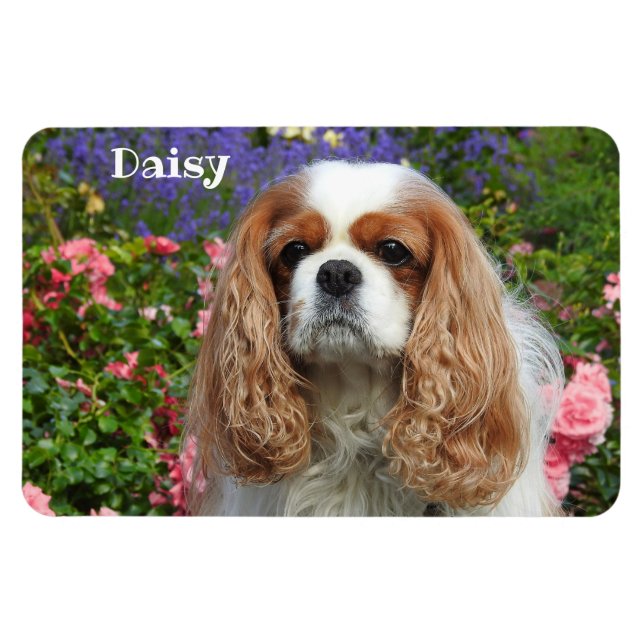 Ímã Blenheim Cavalier King Charles Spaniel em Flores (Horizontal)