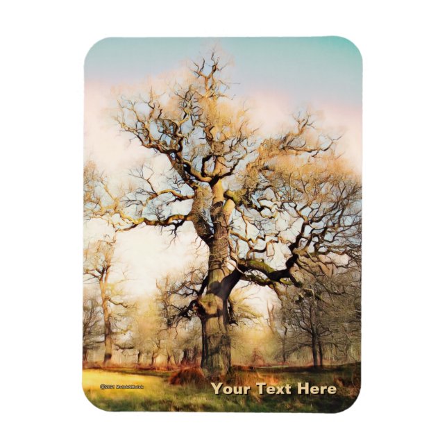 Ímã Blenheim Palace English Oak (Vertical)