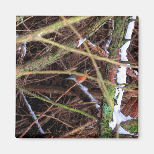 Imã Blizzard Bird CB (Frente)