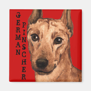 Imã Bloco alemão da cor do Pinscher