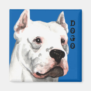 Imã Bloco da cor de Dogo Argentino