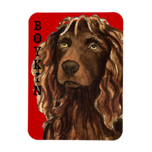 Ímã Bloco da cor do Spaniel de Boykin