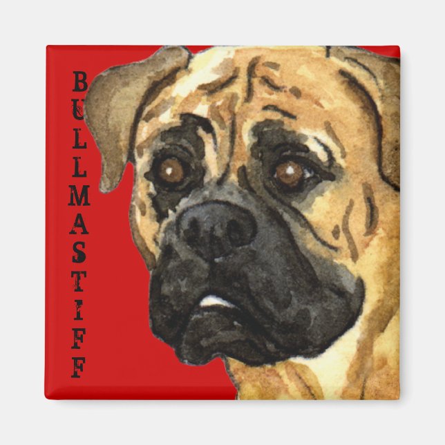Imã Bloco de Cor do Bullmastiff (Frente)
