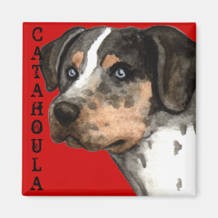 Imã Bloco de cores Catahoula