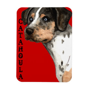 Ímã Bloco de cores Catahoula