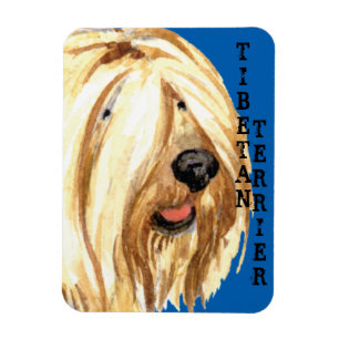 Ímã Bloco de Cores do Terrier Tibetano