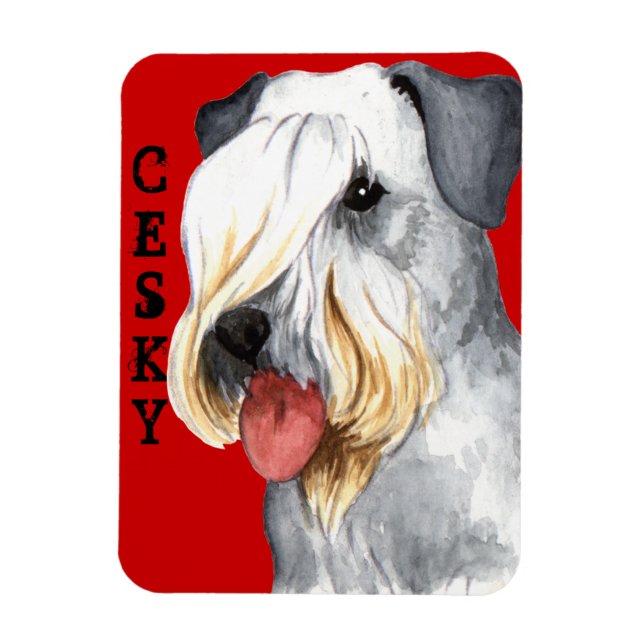 Ímã Bloco de Cores Terrier Cesky (Vertical)