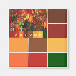 Imã Blocos de Cores de Outono