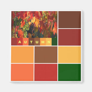 Imã Blocos de Cores de Outono