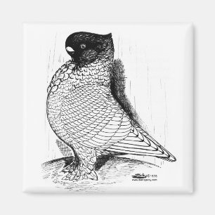 Imã Blondinette Laced 1978