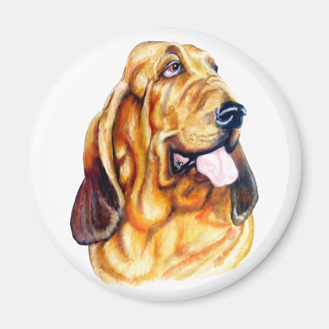 Imã Bloodhound Bust (Frente)