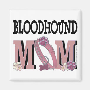 Imã Bloodhound MOM