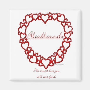 Imã Bloodhound True Love