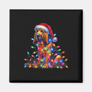 Imã Bloodound Christmas Lights Santa Hog Lover